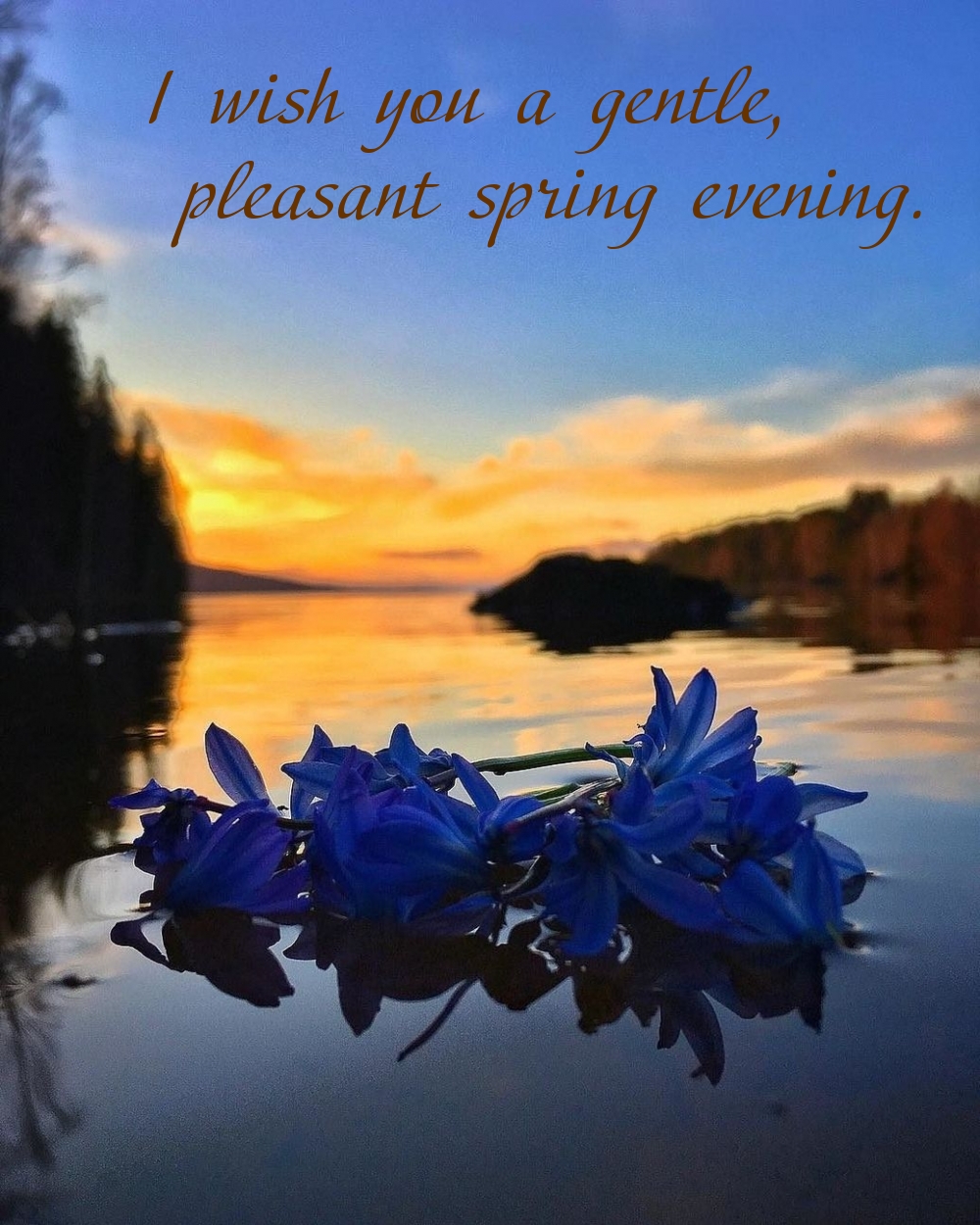 Pictures with names Good spring evening Pictures with names Good spring evening