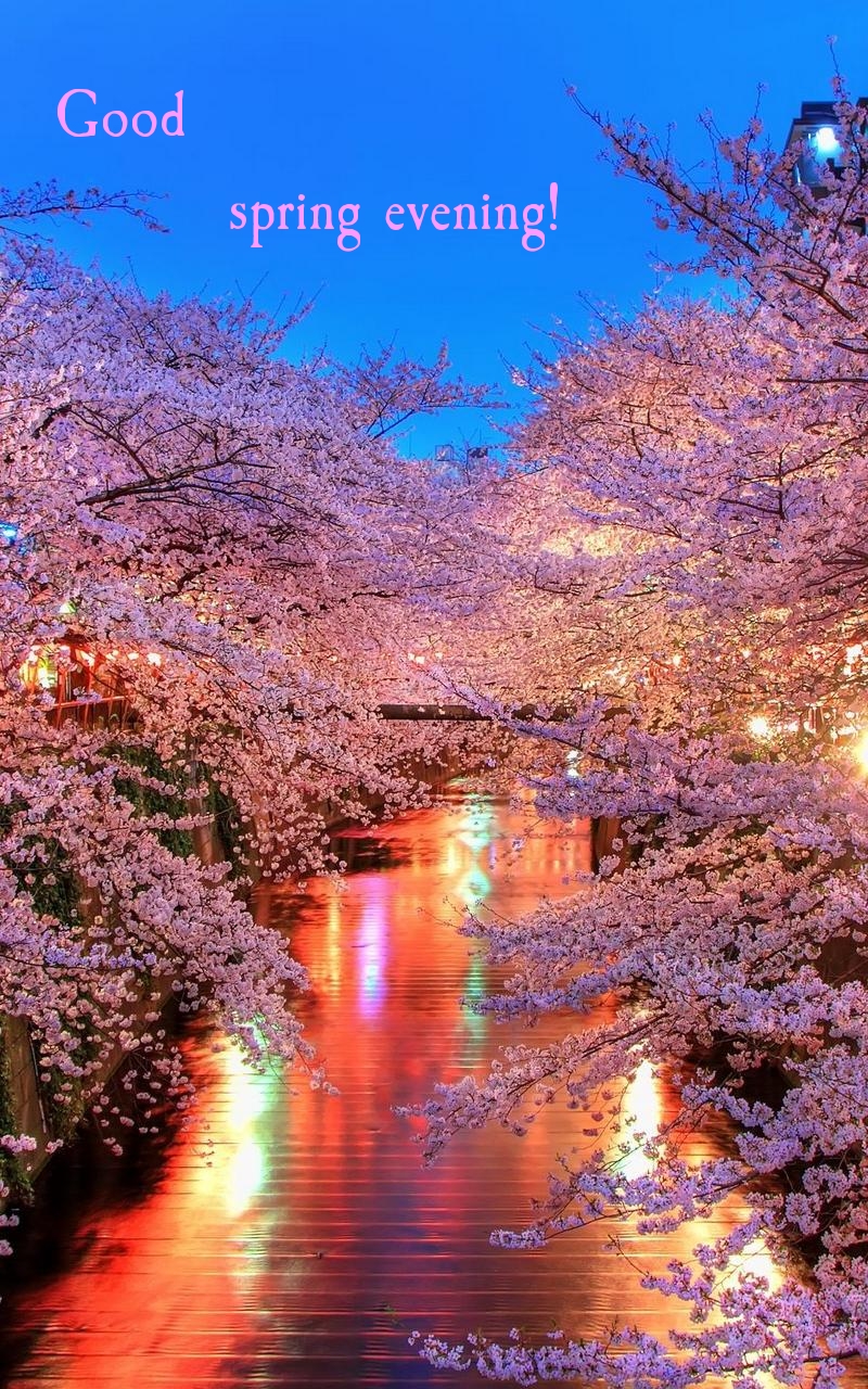 Pictures with names Good spring evening Pictures with names Good spring evening