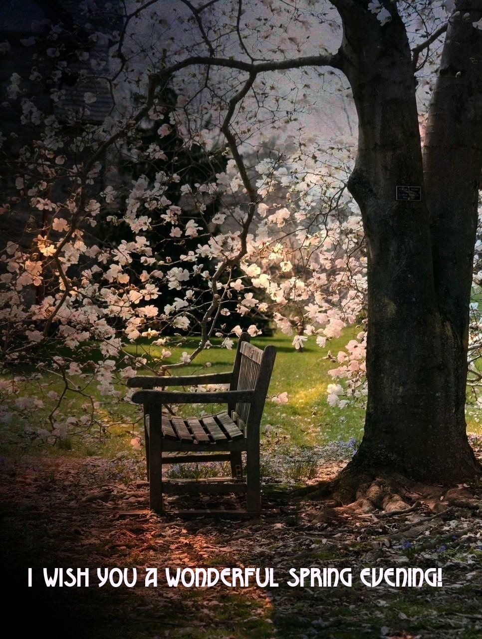 Pictures with names Good spring evening Pictures with names Good spring evening