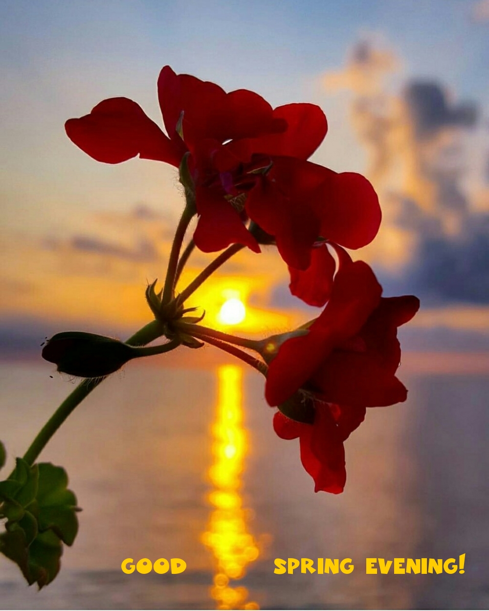 Pictures with names Good spring evening Pictures with names Good spring evening