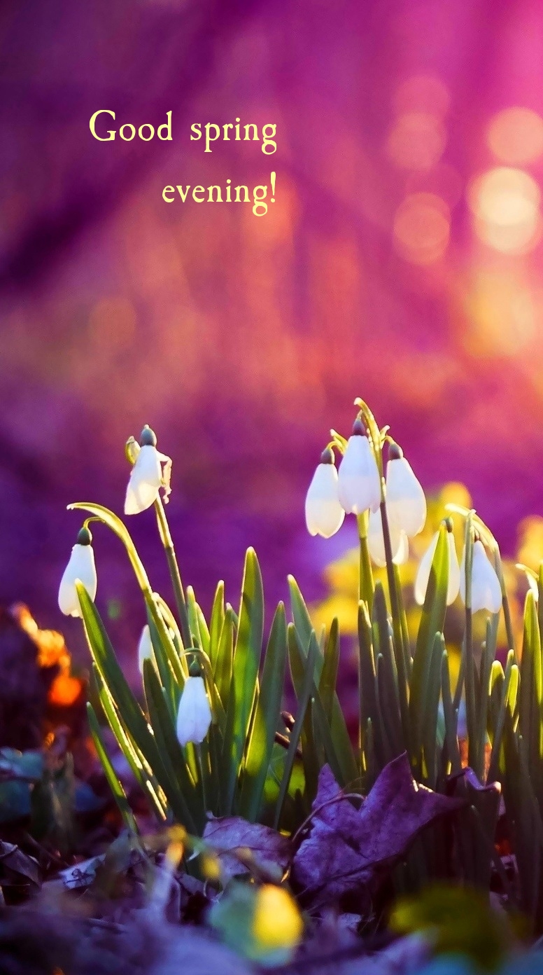 Pictures with names Good spring evening Pictures with names Good spring evening