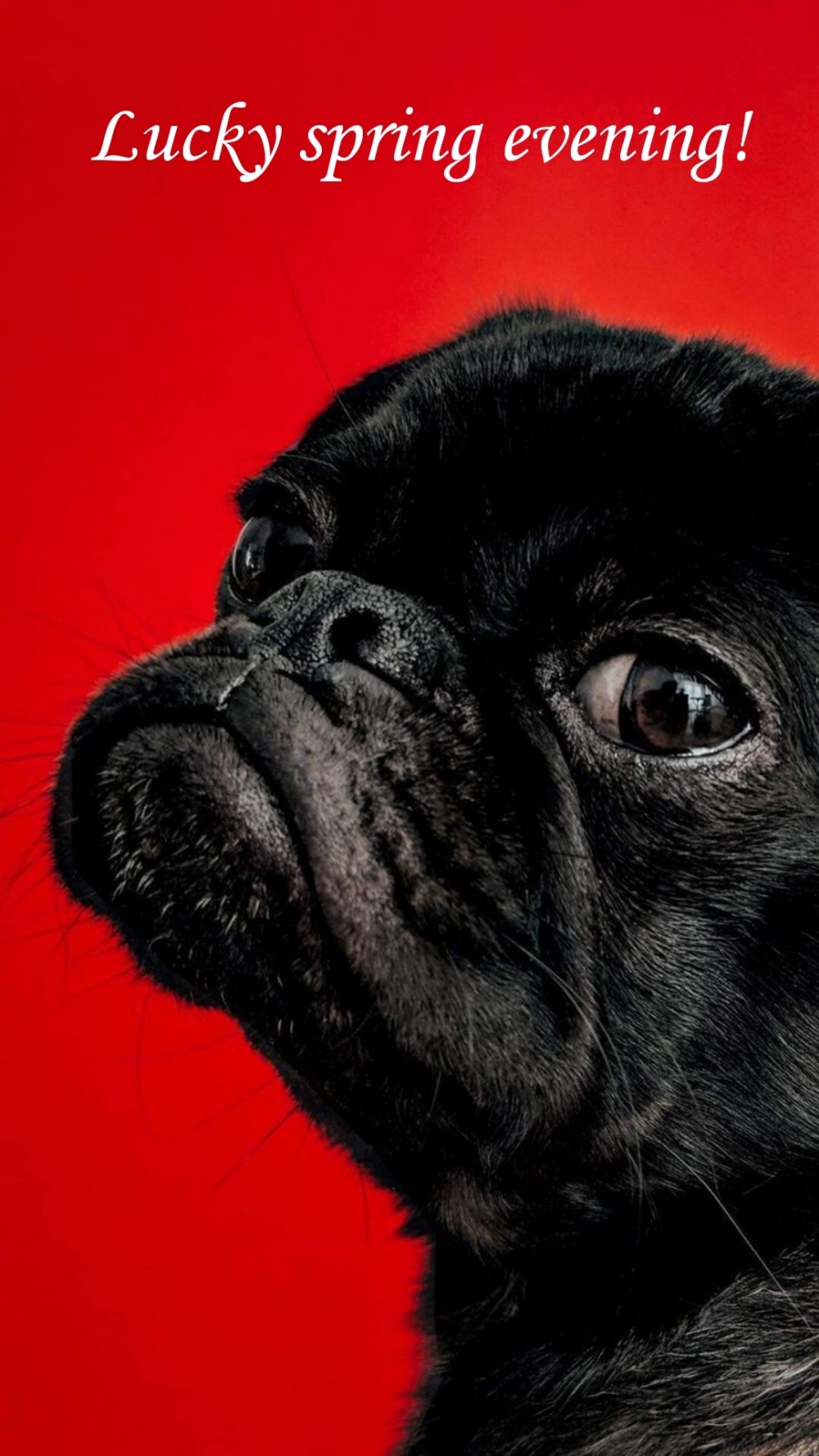 Pictures with names Good spring evening Pictures with names Good spring evening