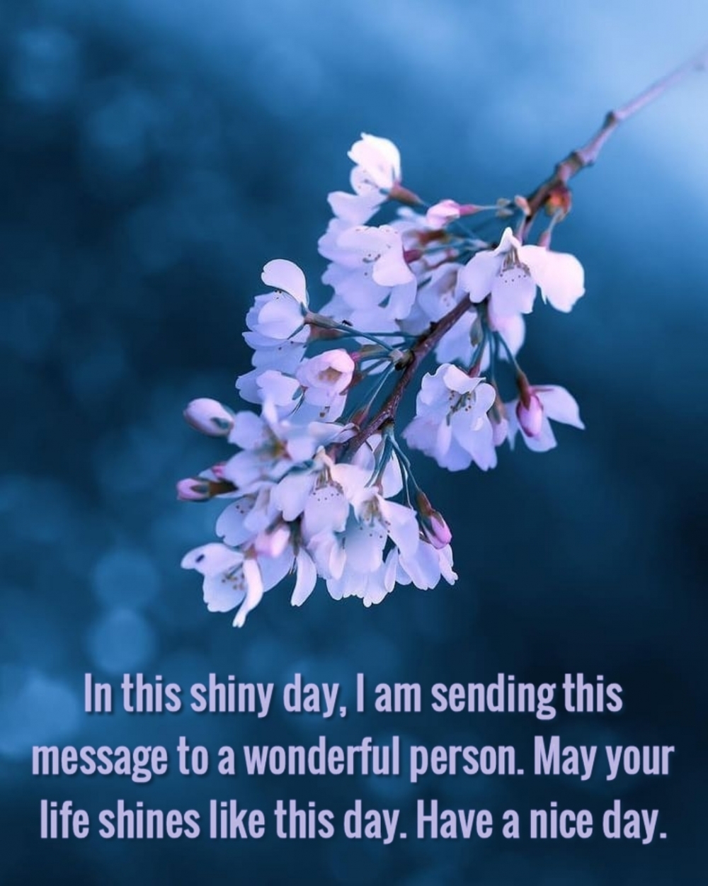 Pictures with names Good spring day Pictures with names Good spring day