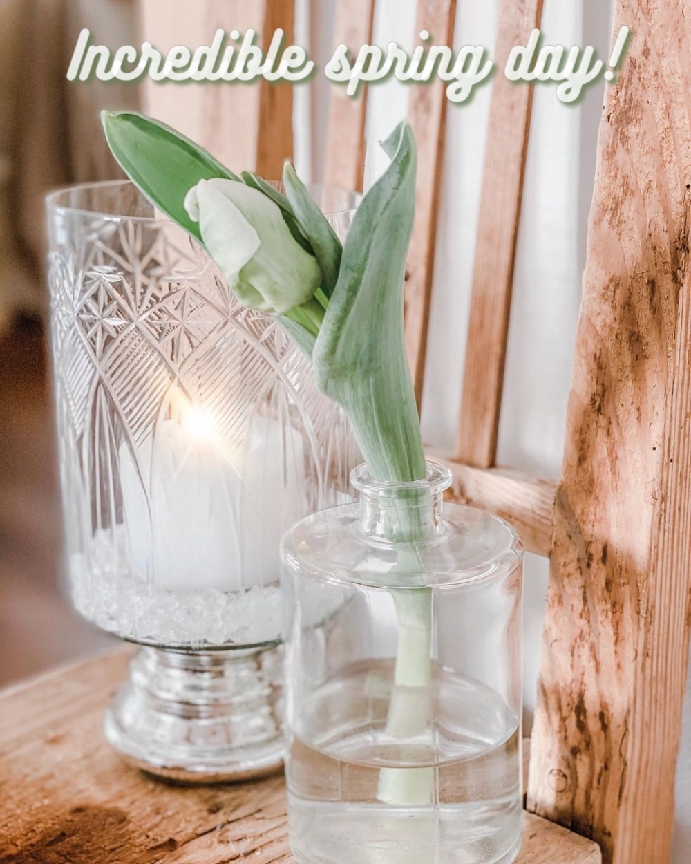 Pictures with names Good spring day Pictures with names Good spring day