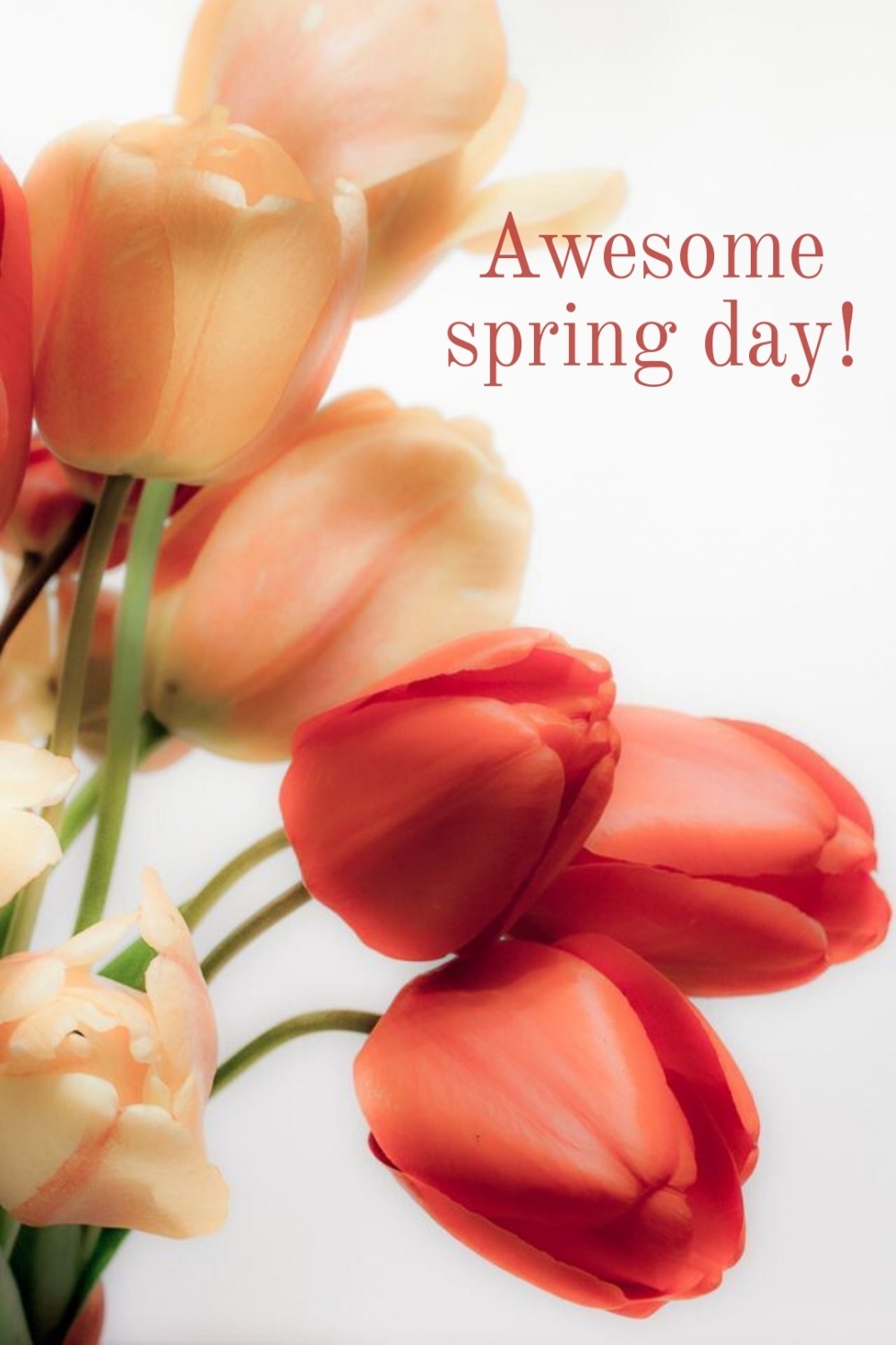 Pictures with names Good spring day Pictures with names Good spring day