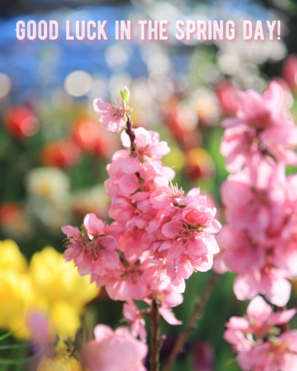 Pictures with names Good spring day Pictures with names Good spring day