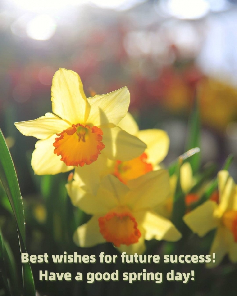 Pictures with names Good spring day Pictures with names Good spring day