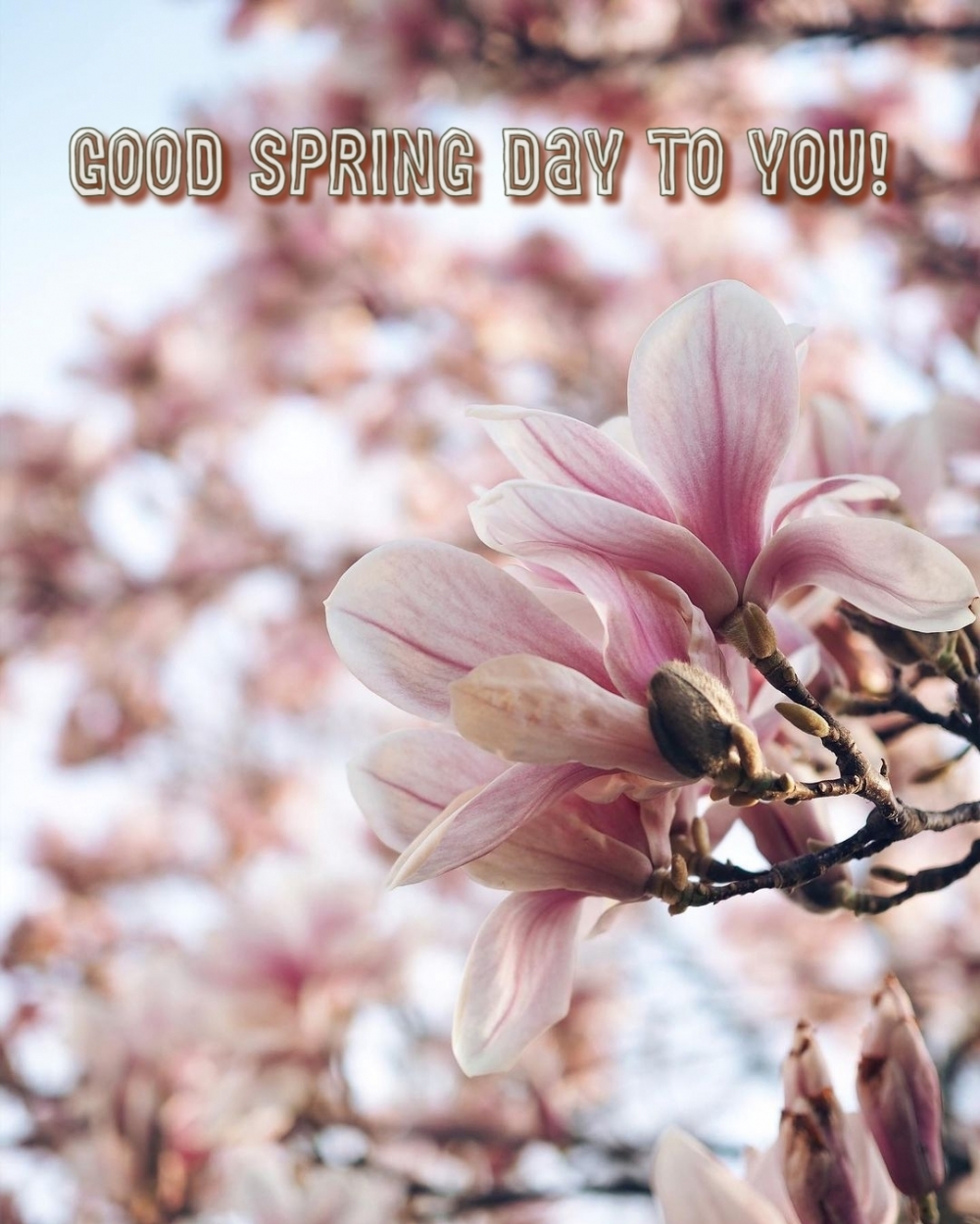 Pictures with names Good spring day Pictures with names Good spring day