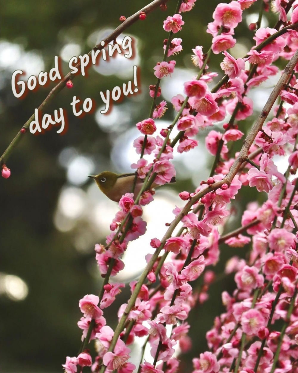 Pictures with names Good spring day Pictures with names Good spring day