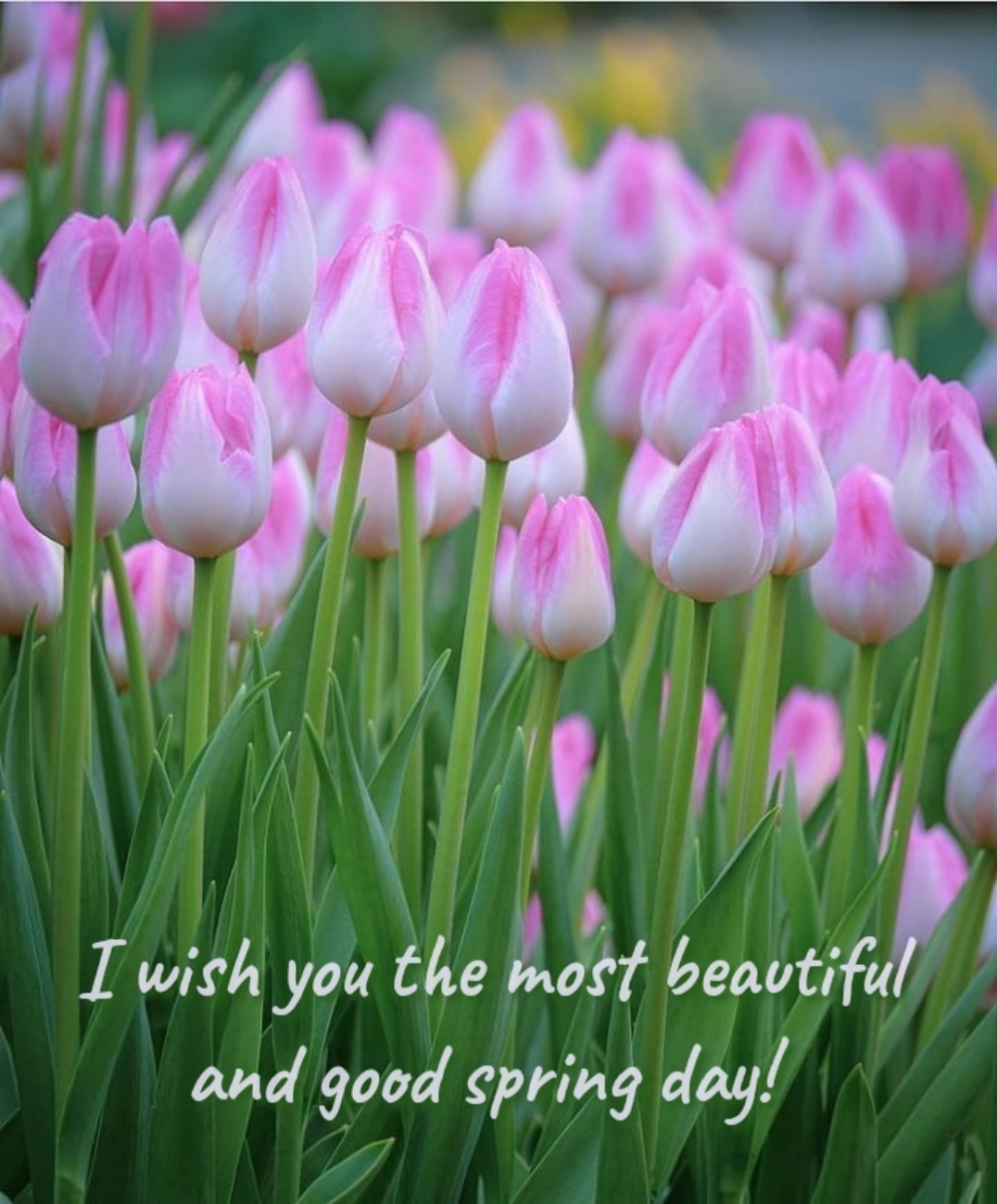 Pictures with names Good spring day Pictures with names Good spring day