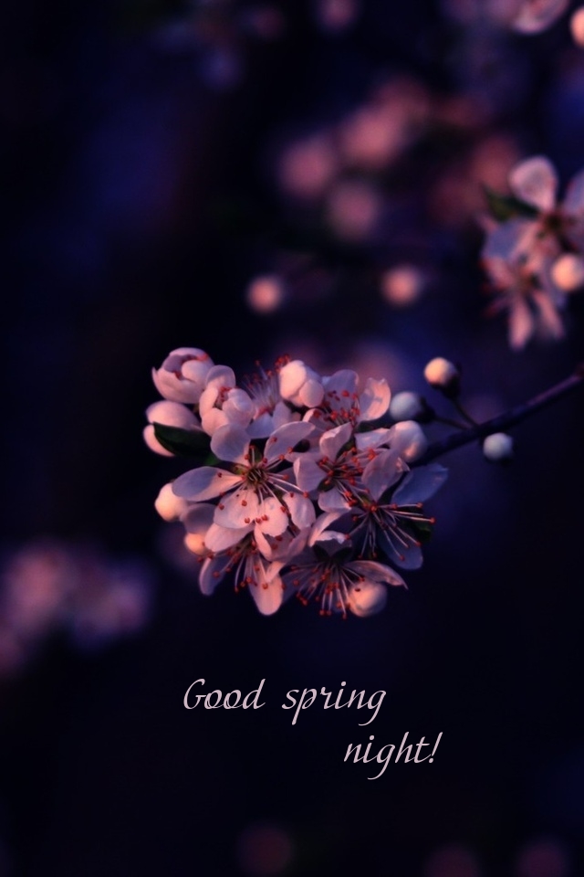 Pictures with names Good spring night Pictures with names Good spring night