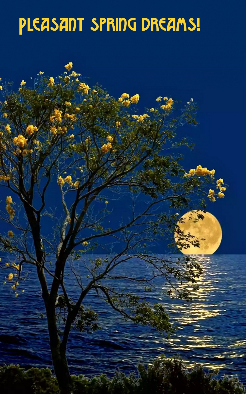 Pictures with names Good spring night Pictures with names Good spring night