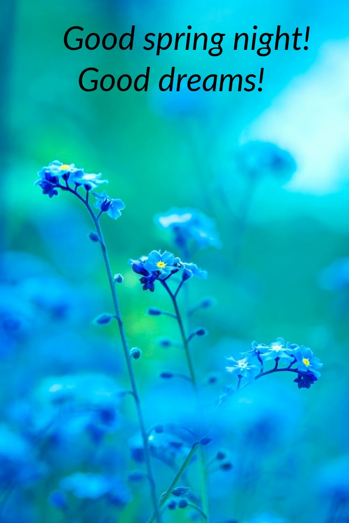 Pictures with names Good spring night Pictures with names Good spring night