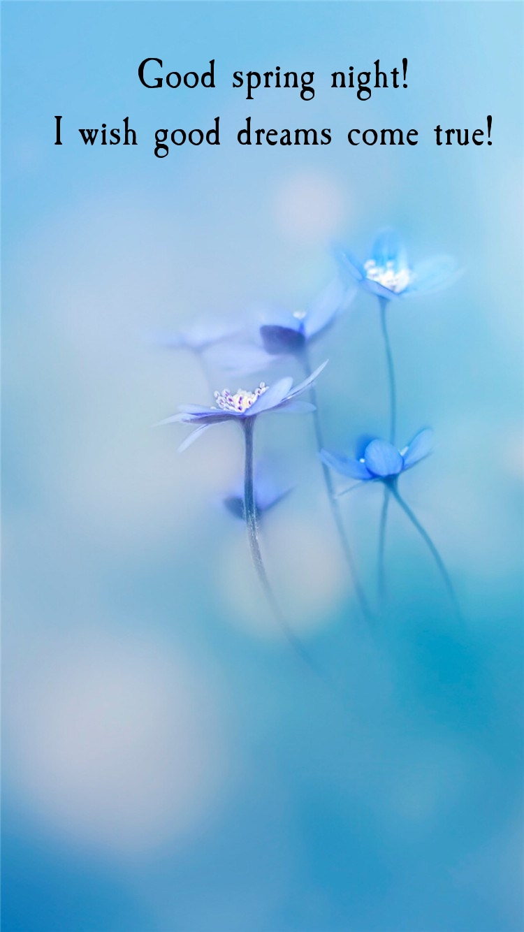 Pictures with names Good spring night Pictures with names Good spring night