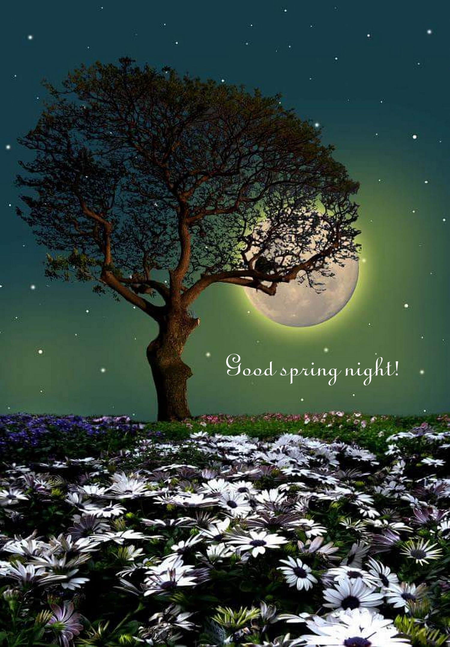 Pictures with names Good spring night Pictures with names Good spring night