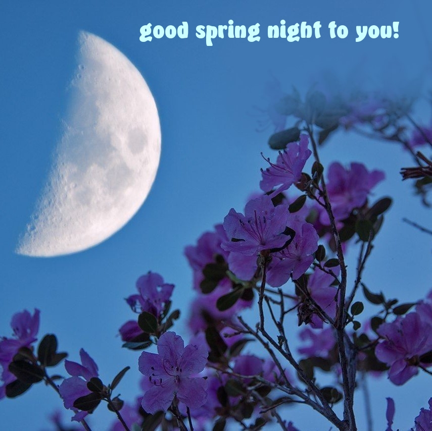 Pictures with names Good spring night Pictures with names Good spring night