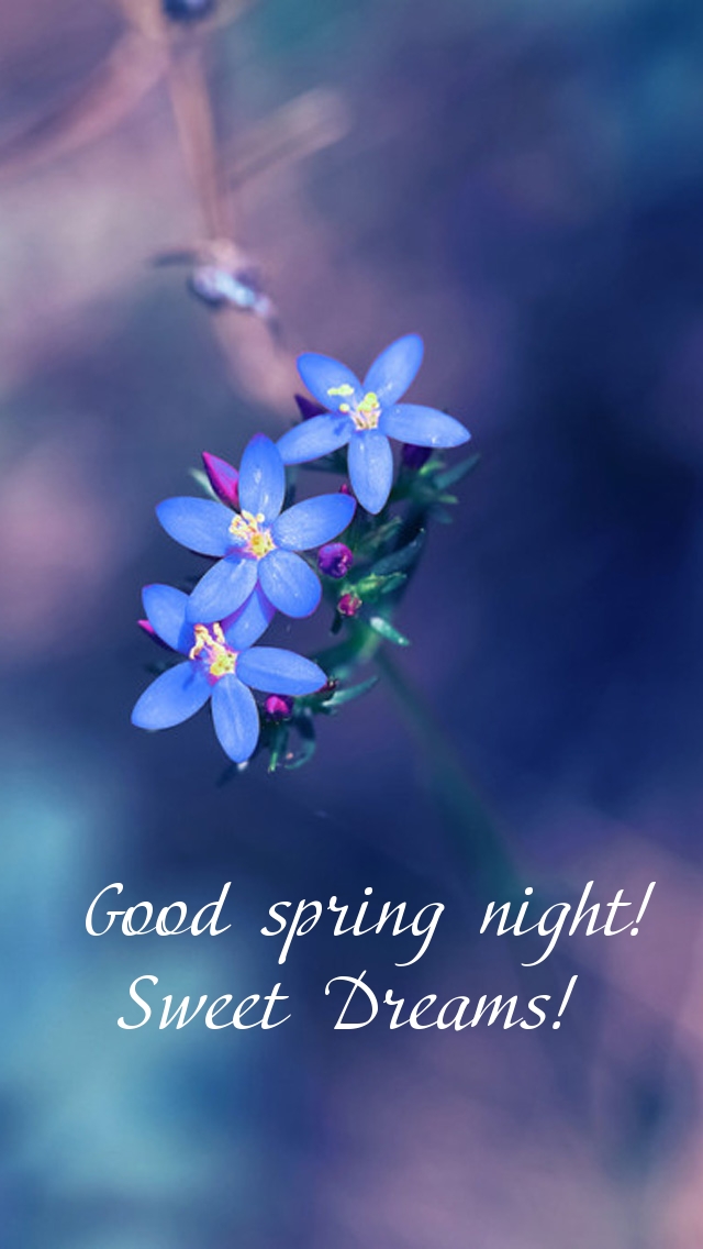 Pictures with names Good spring night Pictures with names Good spring night