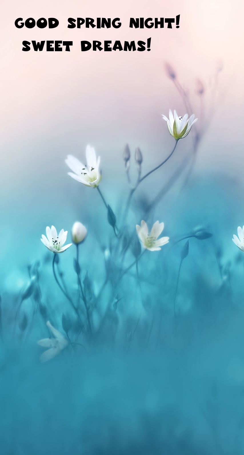 Pictures with names Good spring night Pictures with names Good spring night