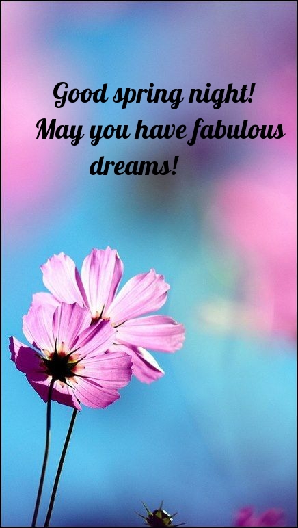 Pictures with names Good spring night Pictures with names Good spring night