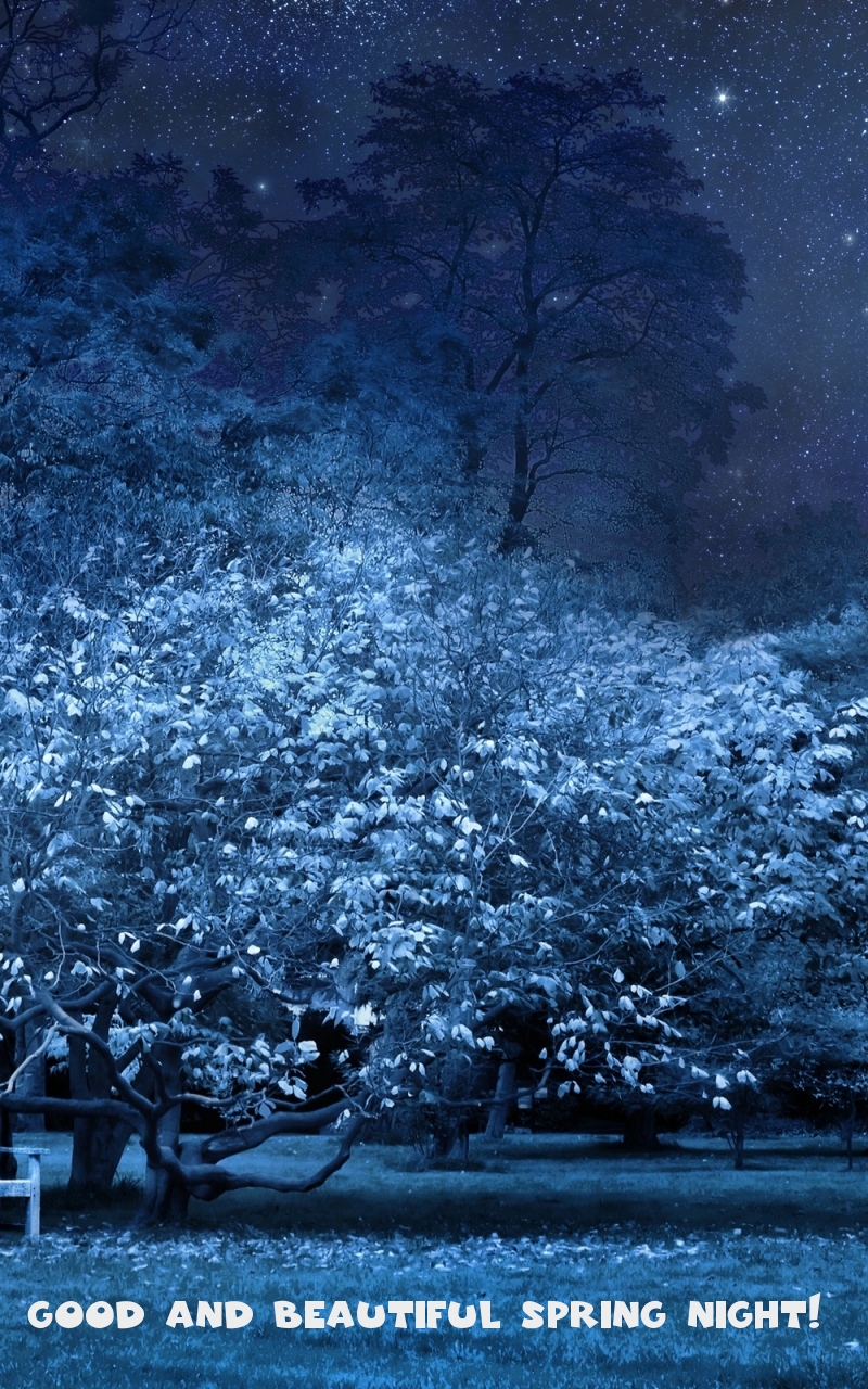 Pictures with names Good spring night Pictures with names Good spring night