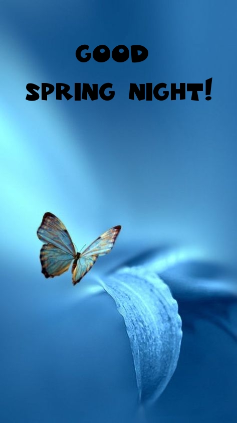 Pictures with names Good spring night Pictures with names Good spring night