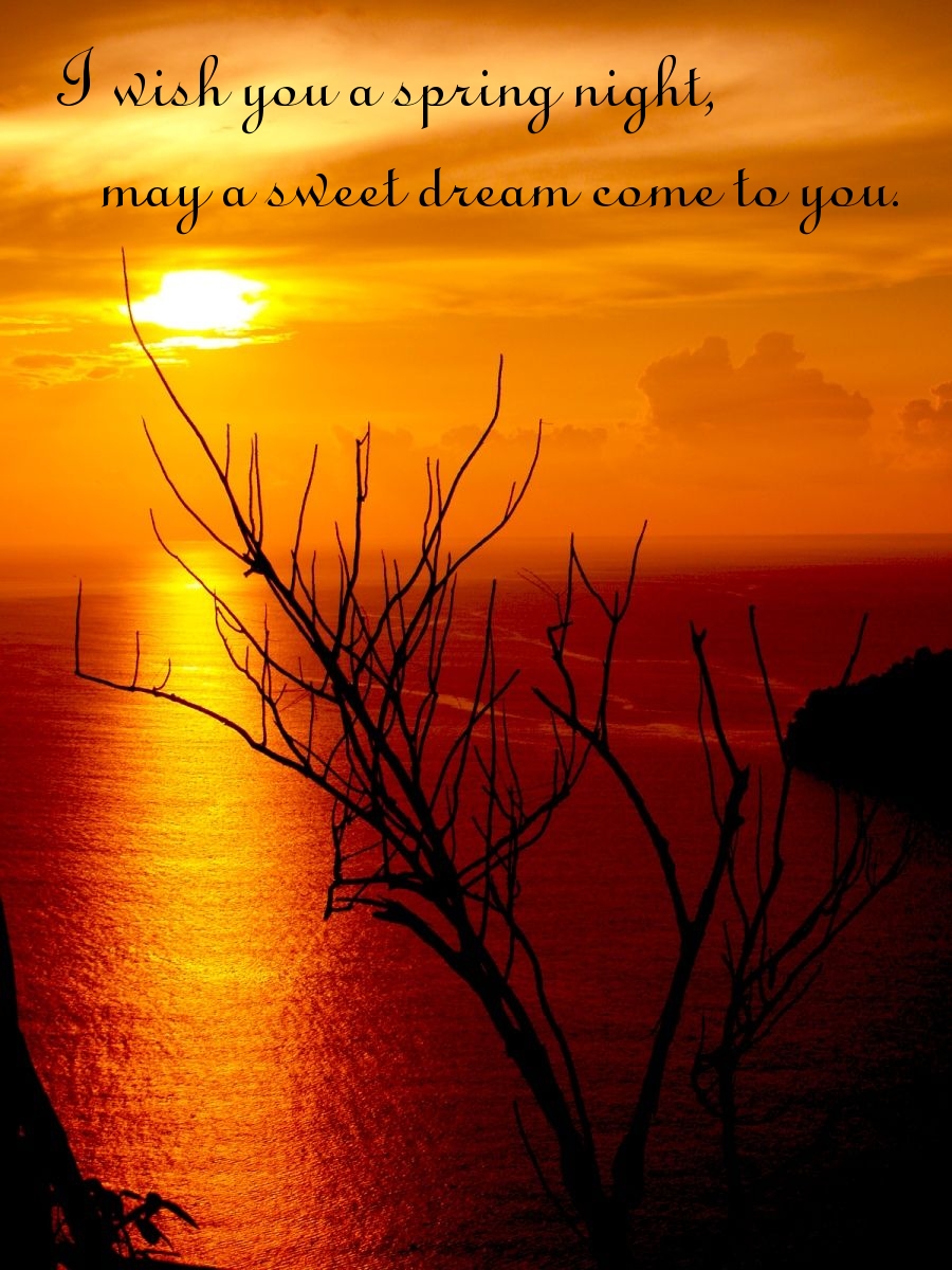 Pictures with names Good spring night Pictures with names Good spring night