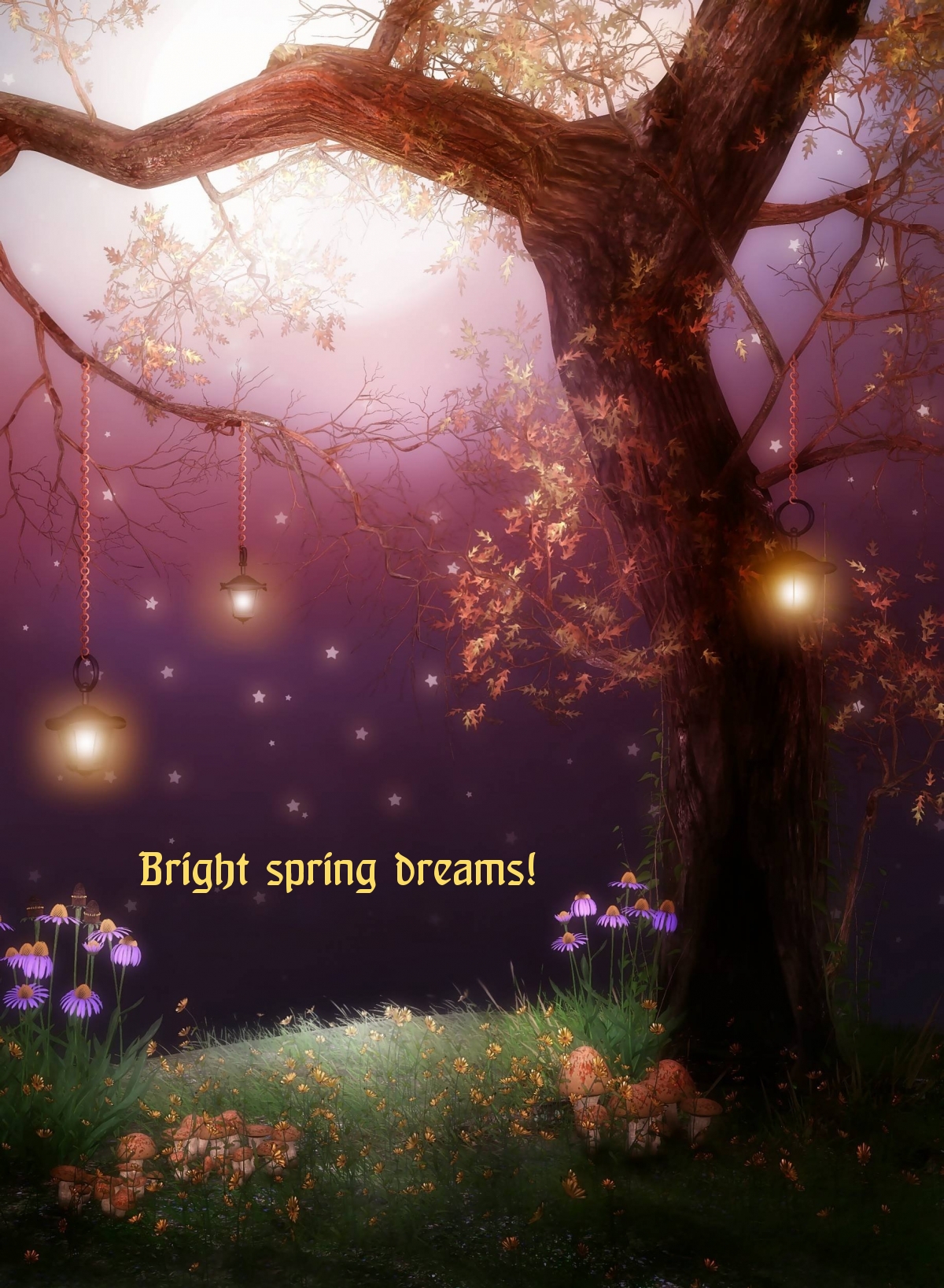 Pictures with names Good spring night Pictures with names Good spring night