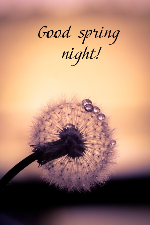 Pictures with names Good spring night Pictures with names Good spring night