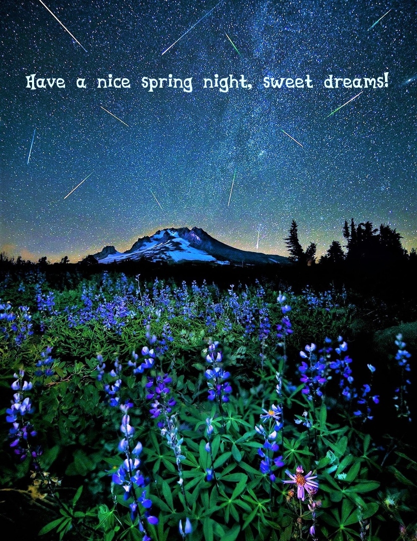 Pictures with names Good spring night Pictures with names Good spring night