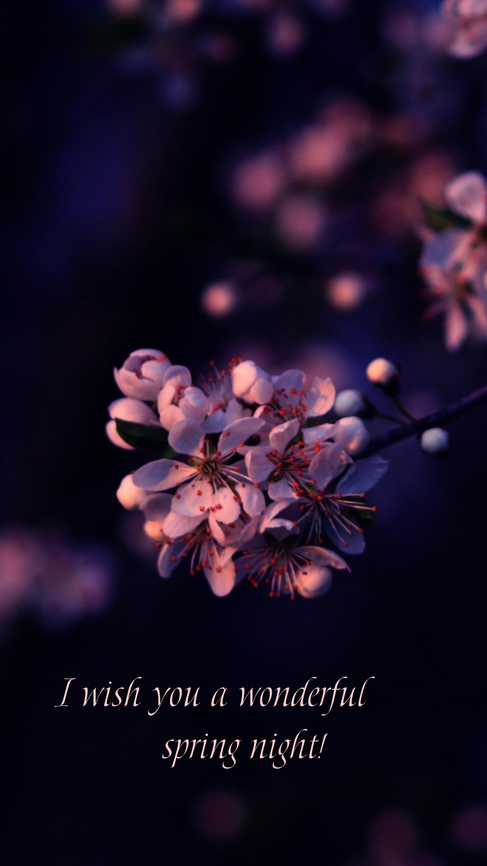 Pictures with names Good spring night Pictures with names Good spring night