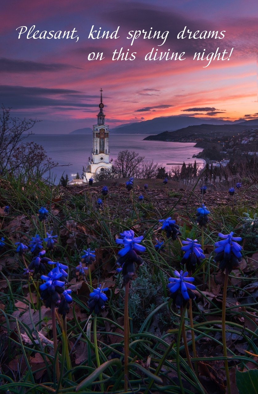 Pictures with names Good spring night Pictures with names Good spring night