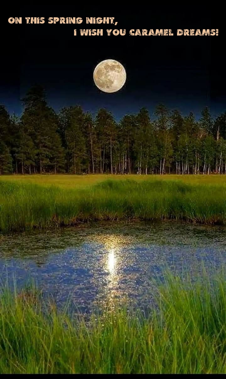 Pictures with names Good spring night Pictures with names Good spring night