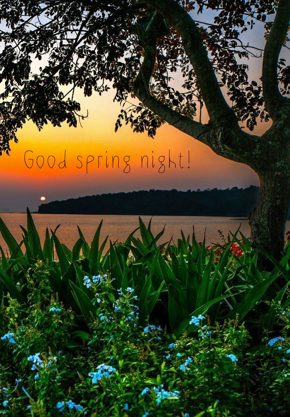 Pictures with names Good spring night Pictures with names Good spring night