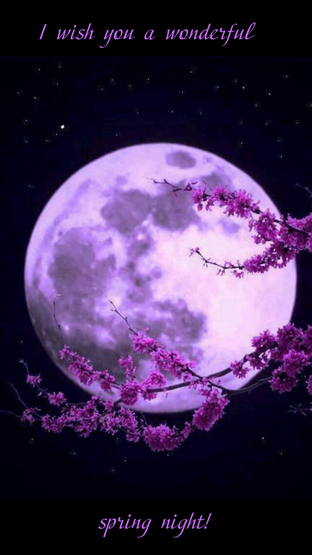 Pictures with names Good spring night Pictures with names Good spring night