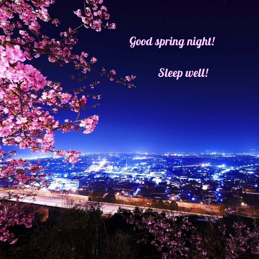 Pictures with names Good spring night Pictures with names Good spring night