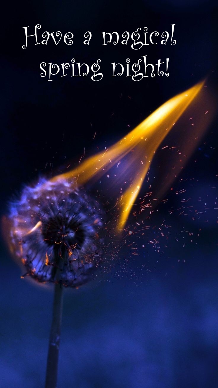 Pictures with names Good spring night Pictures with names Good spring night