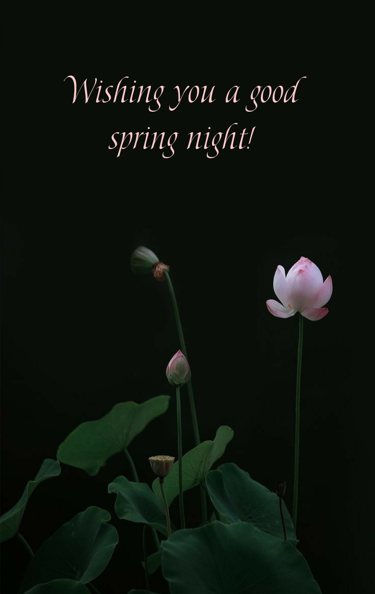 Pictures with names Good spring night Pictures with names Good spring night