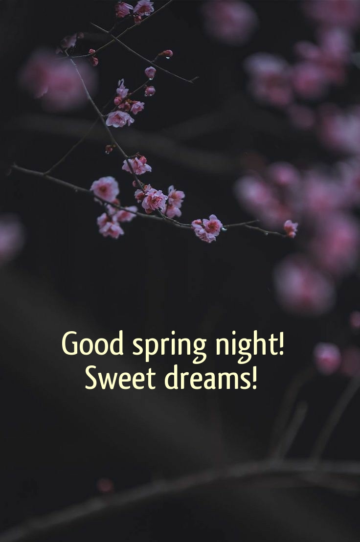 Pictures with names Good spring night Pictures with names Good spring night