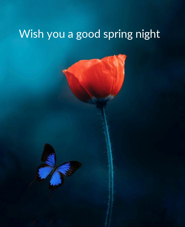 Pictures with names Good spring night Pictures with names Good spring night