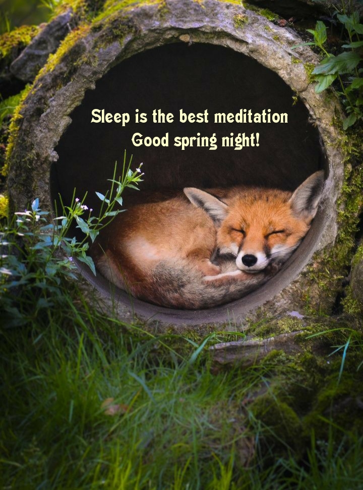 Pictures with names Good spring night Pictures with names Good spring night