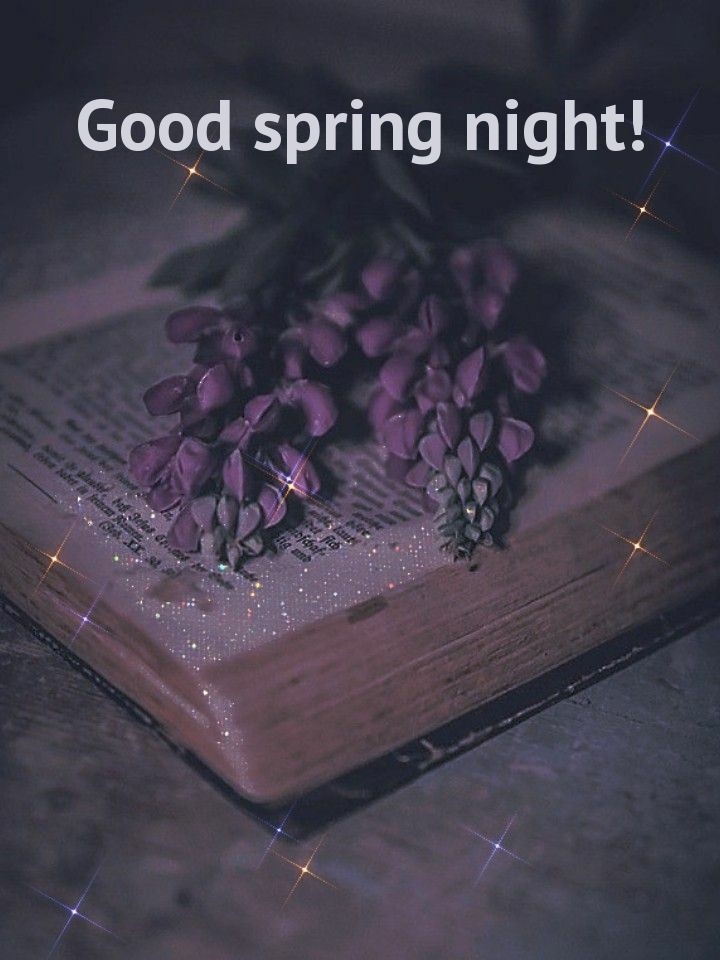 Pictures with names Good spring night Pictures with names Good spring night