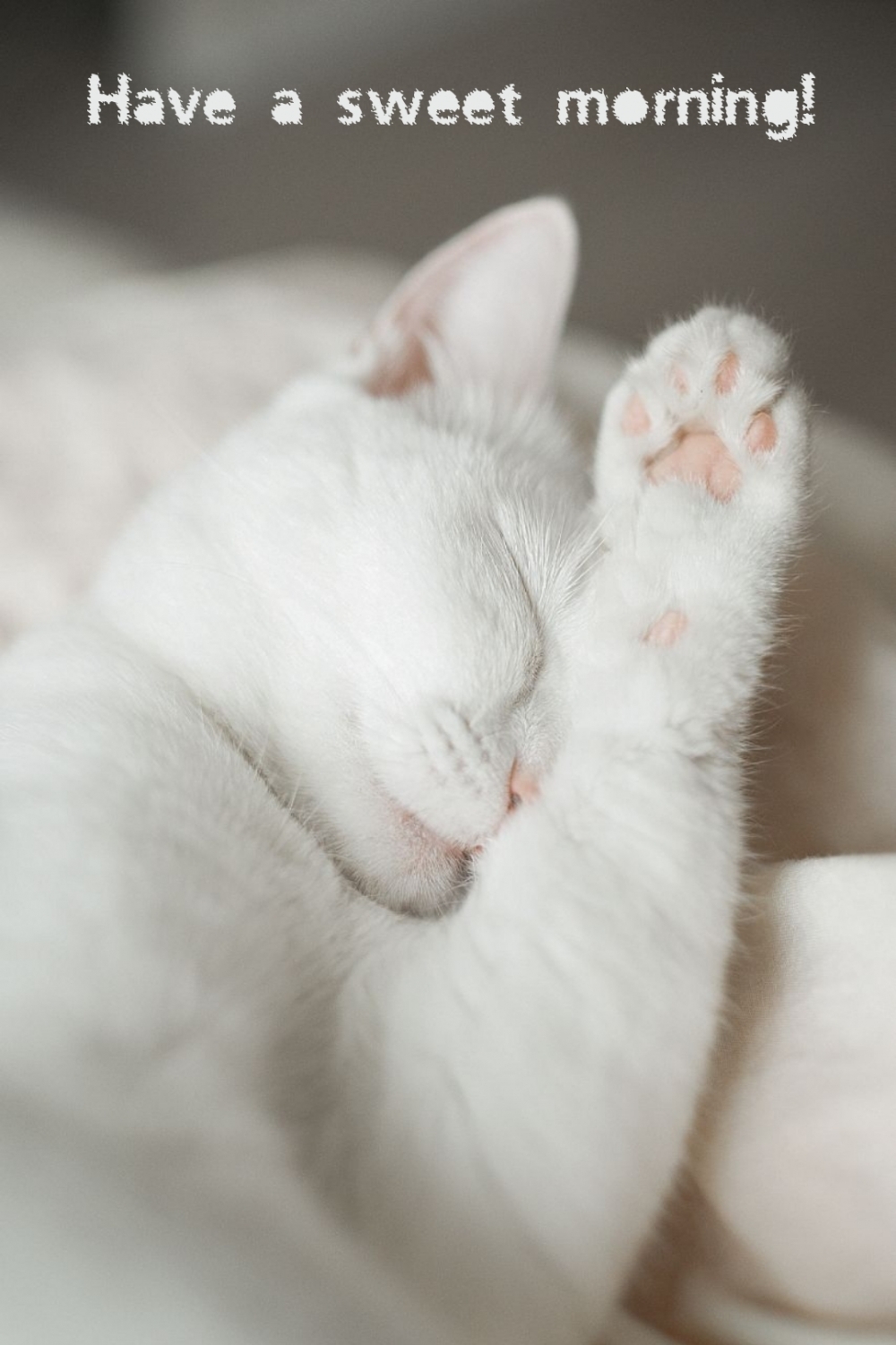 Pictures with names Good morning Pictures with names Good morning