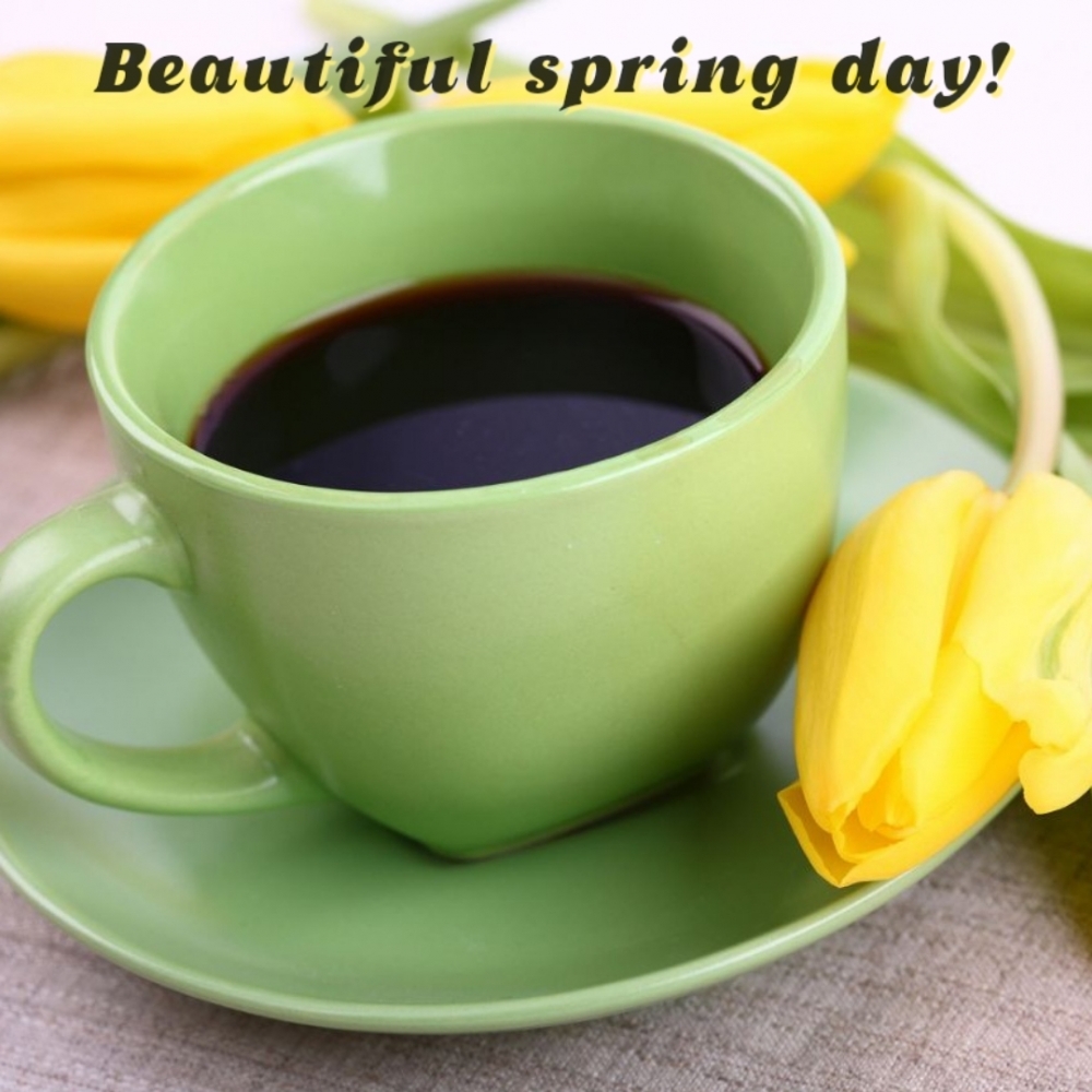 Pictures with names Good spring day Pictures with names Good spring day