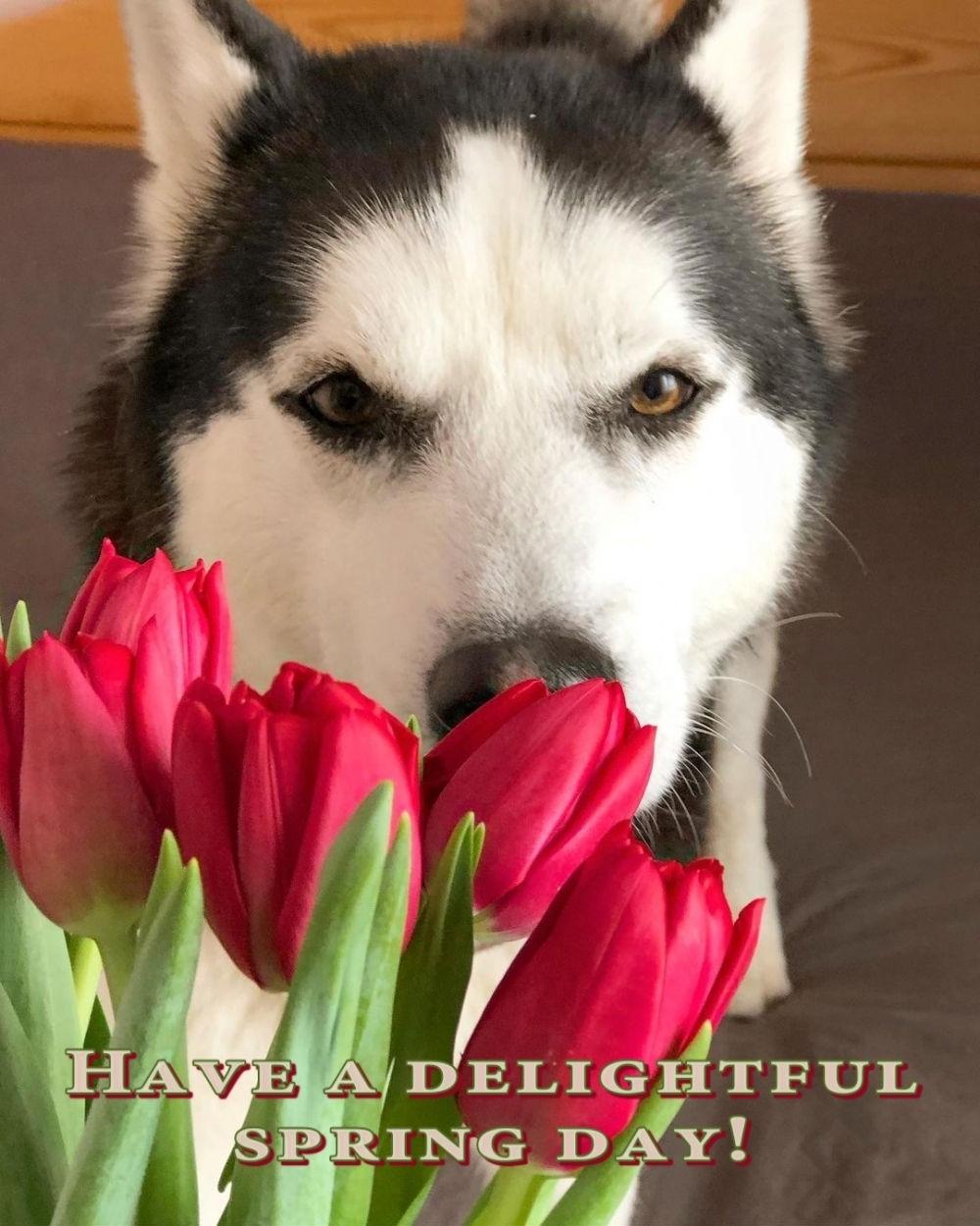 Pictures with names Good spring day Pictures with names Good spring day