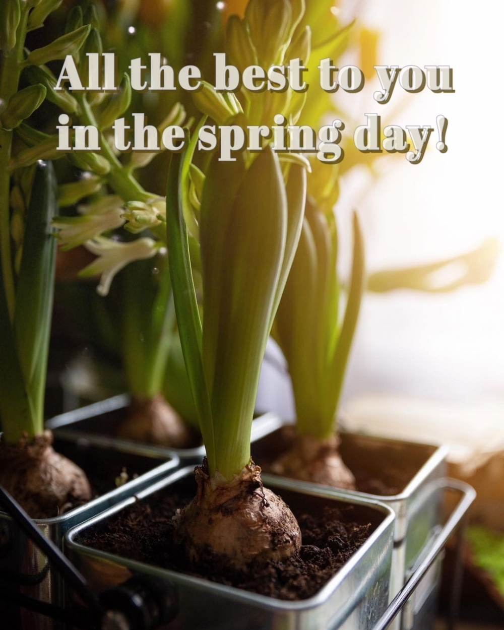 Pictures with names Good spring day Pictures with names Good spring day