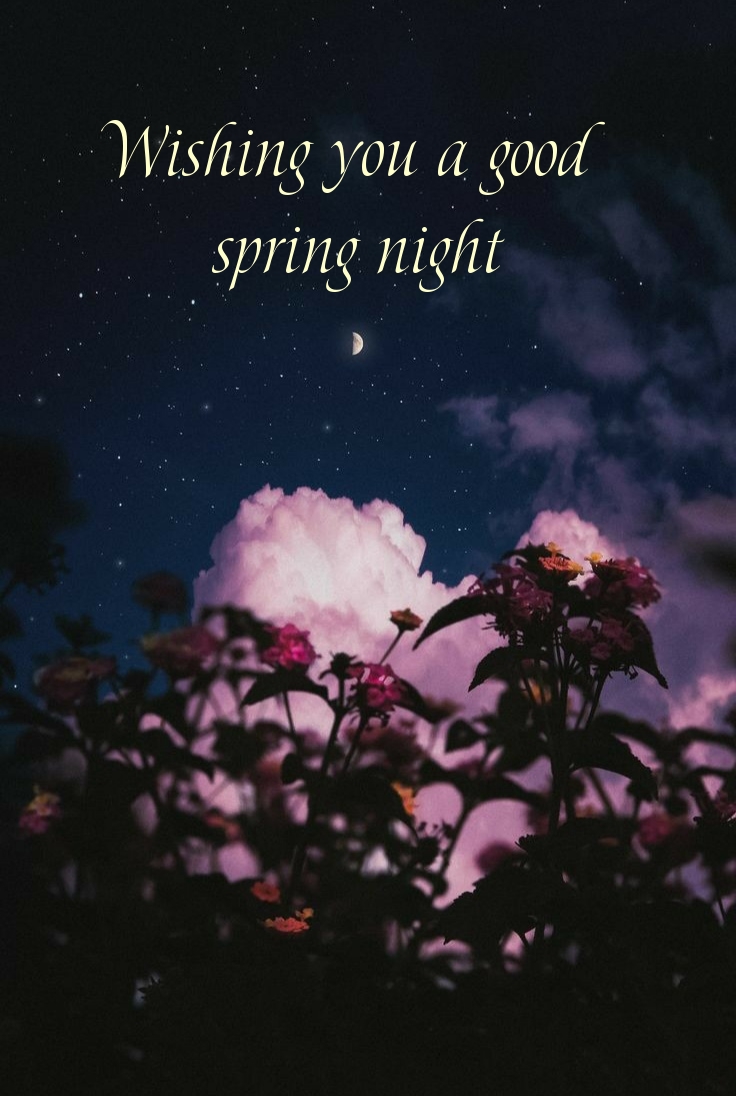 Pictures with names Good spring night Pictures with names Good spring night