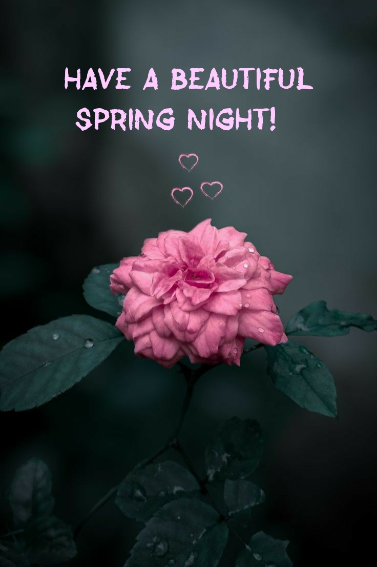 Pictures with names Good spring night Pictures with names Good spring night