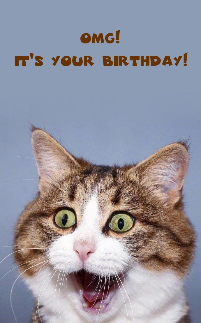 Pictures with names Happy Birthday funny Pictures with names Happy Birthday funny