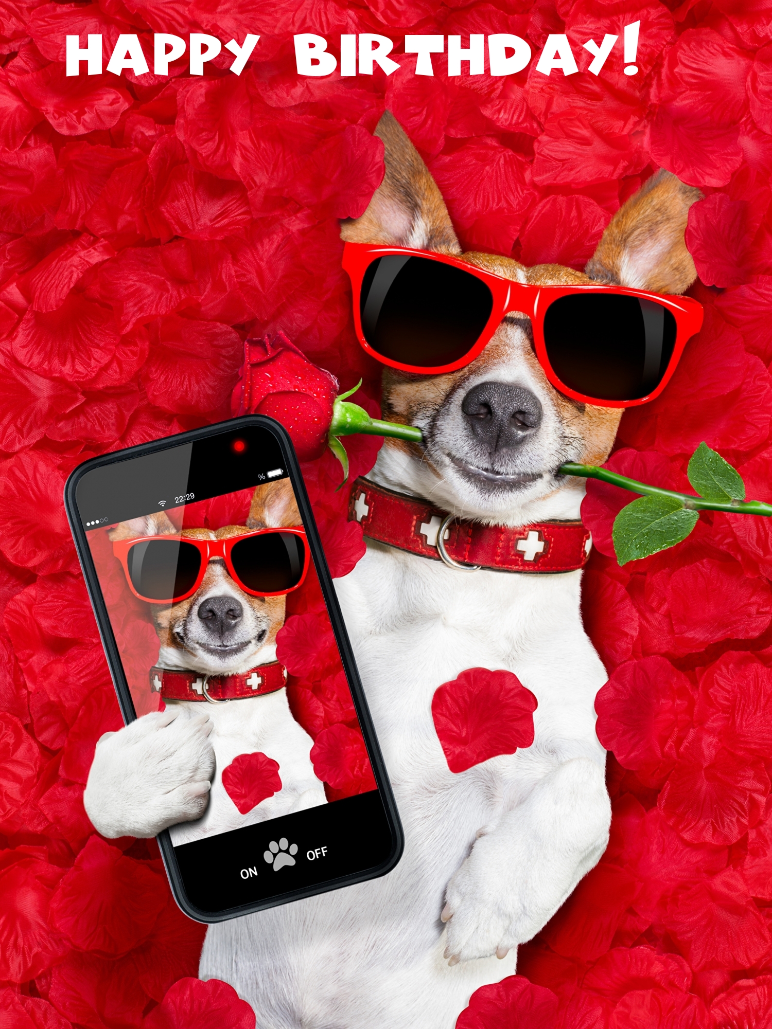 Pictures with names Happy Birthday funny Pictures with names Happy Birthday funny