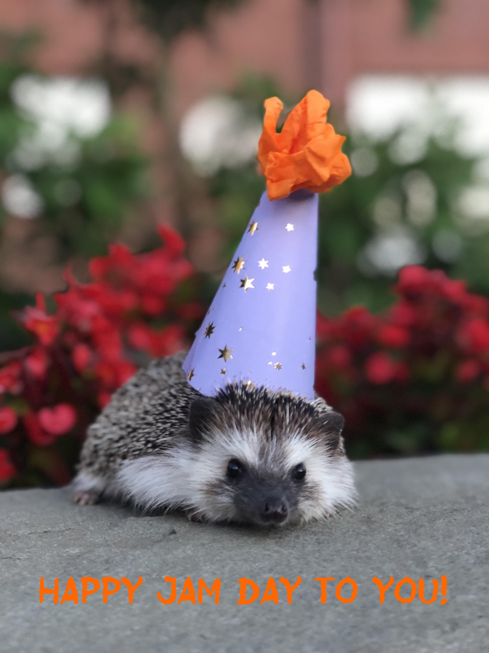 Pictures with names Happy Birthday funny Pictures with names Happy Birthday funny